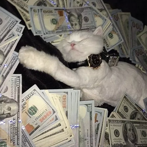 撕开她的胸罩猛吸奶头的视频
